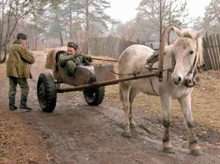 ОсЕл молчал бы ты про армию