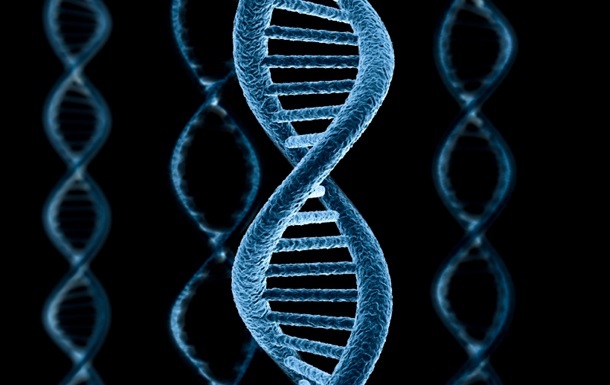 Генетики раскрыли механизм редактирования ДНК