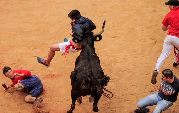 Разъяренные быки в Испании бодают любителей корриды