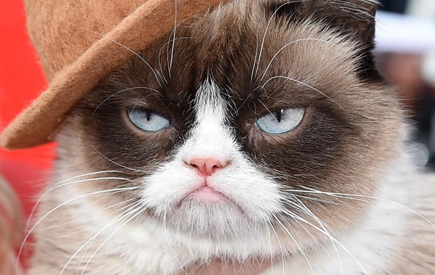 У Нью-Йорку знаменита кішка Grumpy Cat презентувала книгу