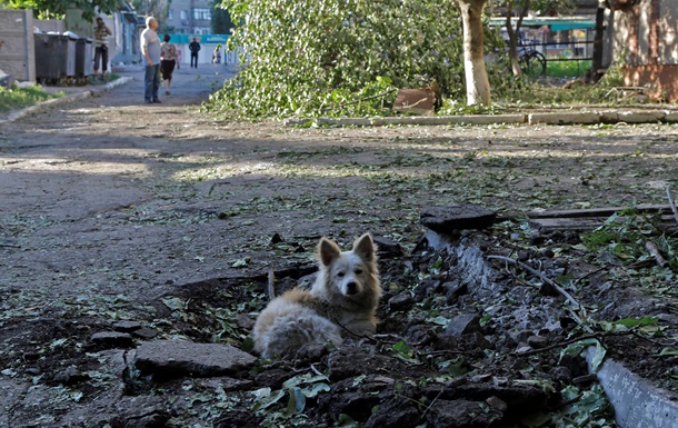 Корреспондент: Пси війни. У зоні АТО потерпають залишені переселенцями тварини  
