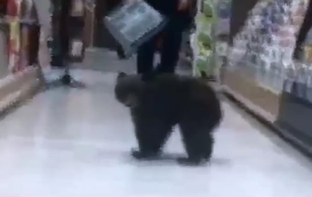 Медвежонок зашел в американский супермаркет