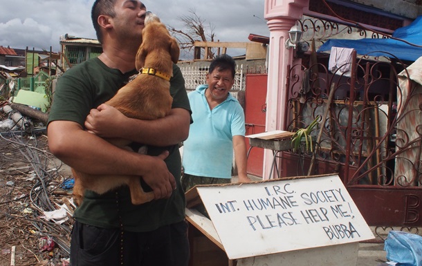 На Філіппінах знайшовся пес, який зник рік тому