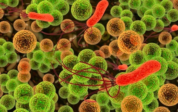 Вчені: від супербактерій помиратимуть більше, ніж від раку