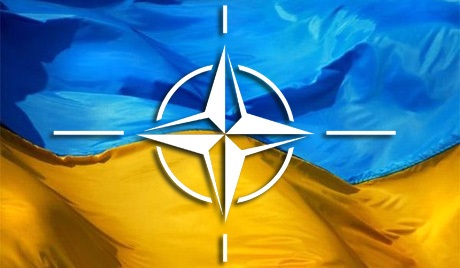 Путь в НАТО  - тревожный звонок для Донбасса
