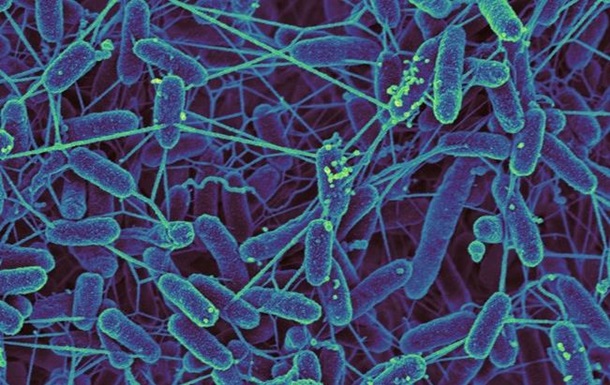  Ученые представили антибиотик нового типа впервые за 30 лет