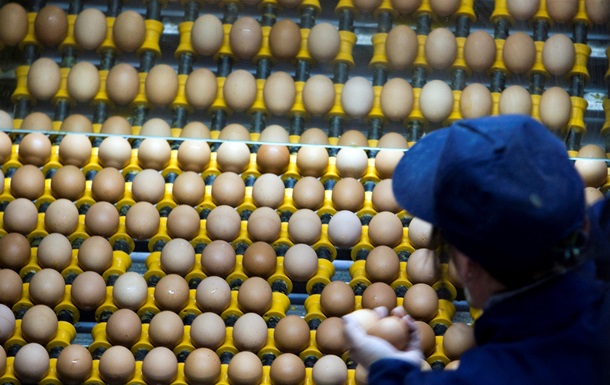 Україна перекрила транзит яєць до Росії з Туреччини