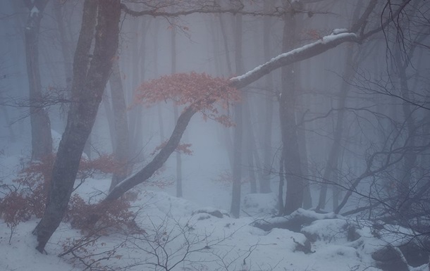 Україну накриють туман та мокрий сніг