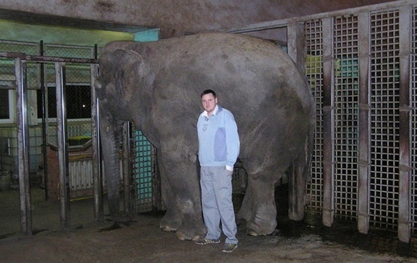 У Харкові слониха покалічила працівника зоопарку