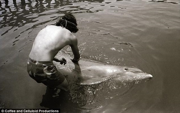 Мужчина год занимался сексом с дельфином, который сам его соблазнил