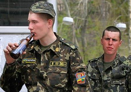 Как трое пьяных украинских солдат  атаковали  Ростовскую область России 