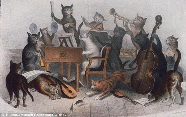 Вчені представили першу в світі музику для котів