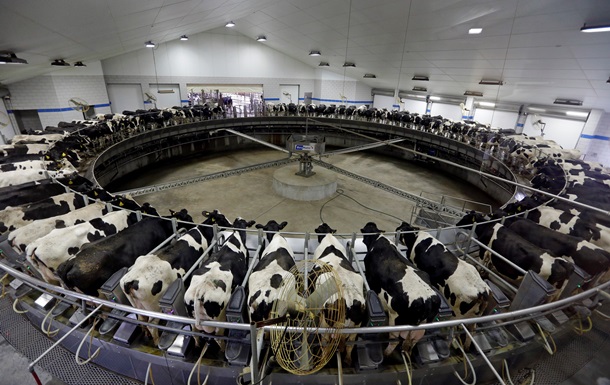 В Украине откроют 60 семейных молочных ферм