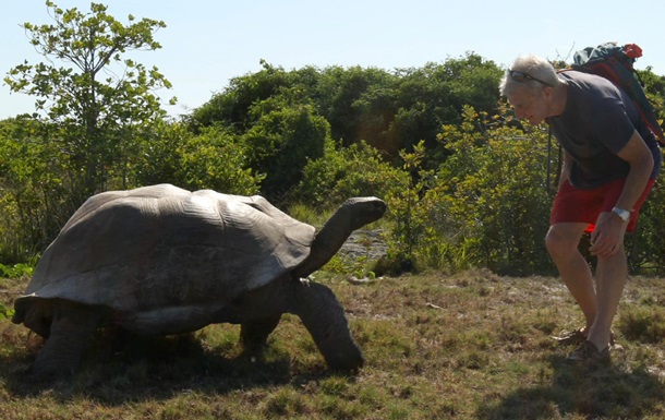Гигантский самец черепахи  отомстил  экспедиции за прерванный интим
