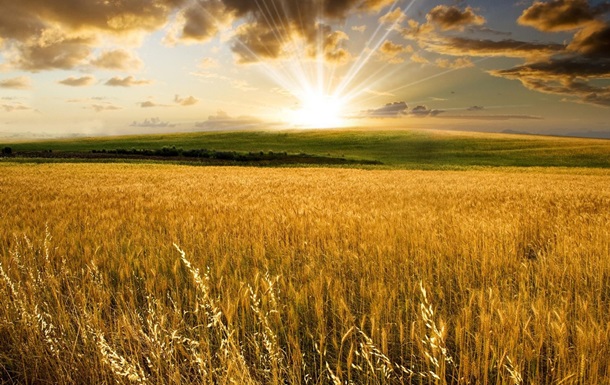 Может ли экономику Украины спасти сельское хозяйство