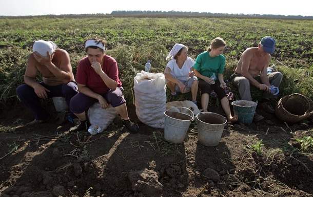Земля на продаж. Україна хоче створити вільний ринок земель 