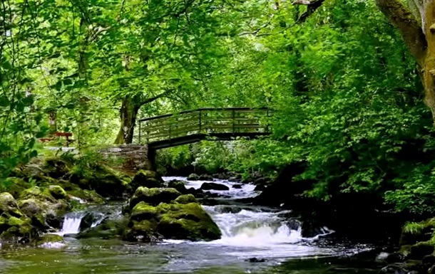 Видео ирландского водопада помогает бороться с бессонницей - The Telegraph