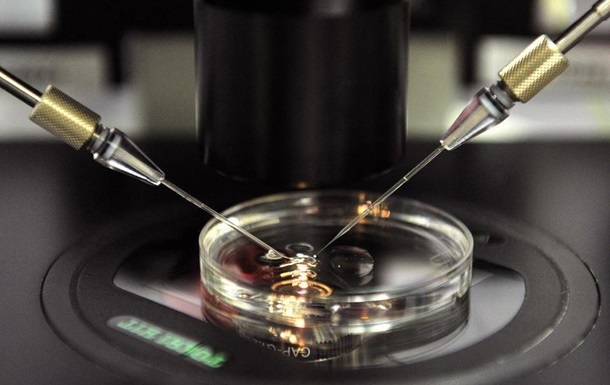 Вчені вперше створили штучну сперму людини