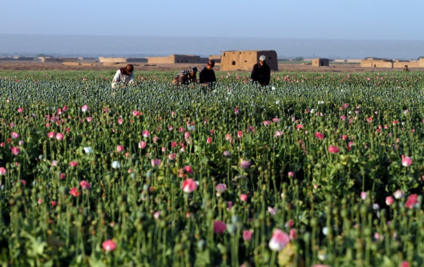 Афганский наркотрафик: общая тревога стран Центральной Азии