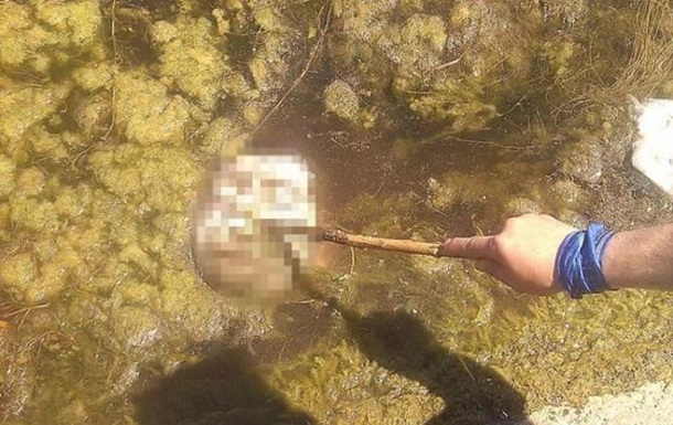 В Донецке сепаратистка засняла отрезанную голову в реке – журналист