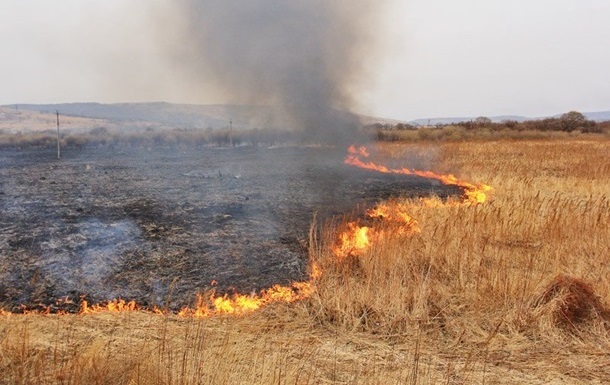 На Луганщині обстріли спровокували сильну пожежу