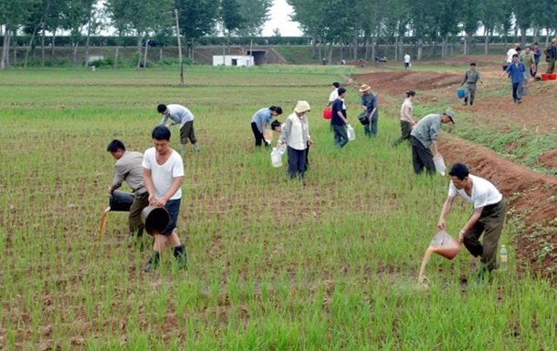 В Северной Корее небывалая засуха, стране грозит голод