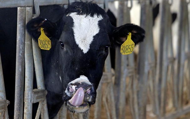 Казахстан снял ограничения на молочку восьми украинских предприятий