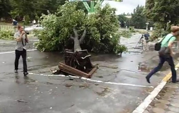 В Луганске ураган повалил деревья, оборваны электролинии