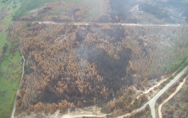 Рятувальники відзвітували про стан пожежі поблизу Чорнобиля