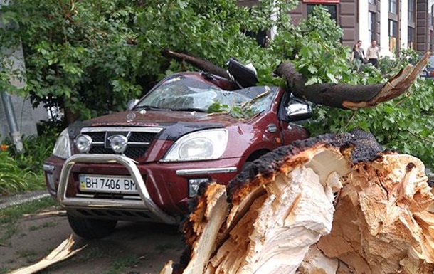Дерево упало на машину в Одессе