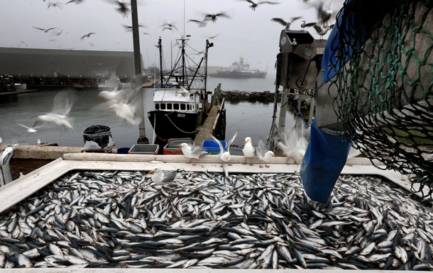 В Украине увеличился вылов рыбы