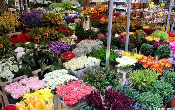 РФ предложила запретить импорт цветов из Нидерландов