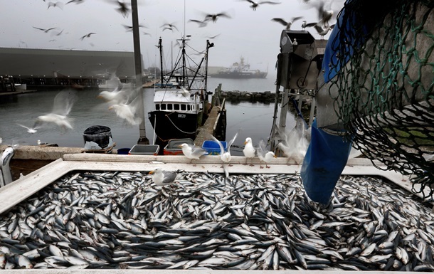 Норвегія відмовила Росії у перевірці рибних підприємств
