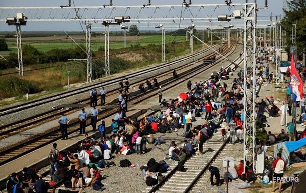 Путь мигранта: пешком из Сербии в Хорватию - репортаж