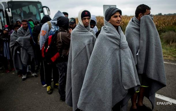 Чешская армия поможет Венгрии защитить границу от мигрантов