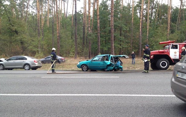 В пригороде Киева лось стал причиной серьезного ДТП