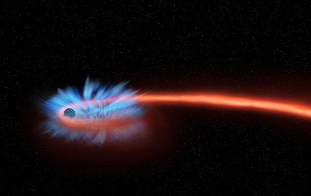 NASA показало, как черная дыра поглощает звезду. Хит YouTube
