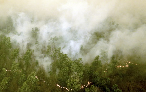 Индонезия горит: три четверти страны в дыму