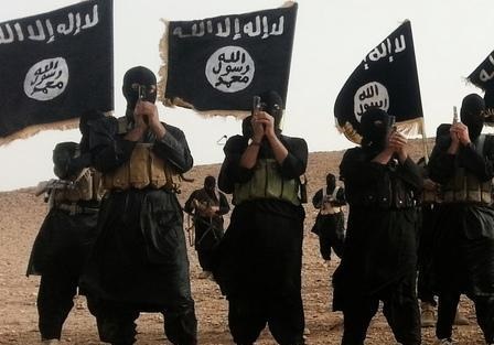 ИГИЛ и Правый сектор обмениваются опытом? Планируют контрнаступление на Донбассе