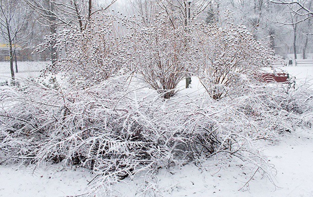 До вечора в Києві може випасти до 10 сантиметрів снігу