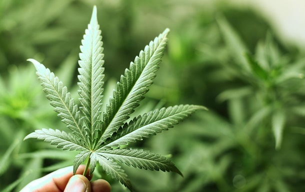 Влада Канади має намір легалізувати марихуану