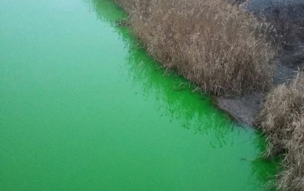У Кривому Розі річка забарвилася в яскраво-зелений колір