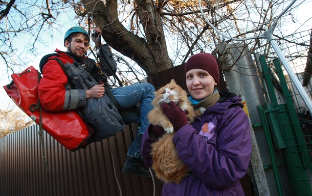 Мурзику на допомогу. У Києві ентузіасти створили команду з порятунку тварин