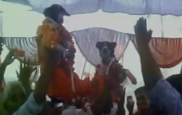 Весілля собак в Індії відвідали тисячі людей