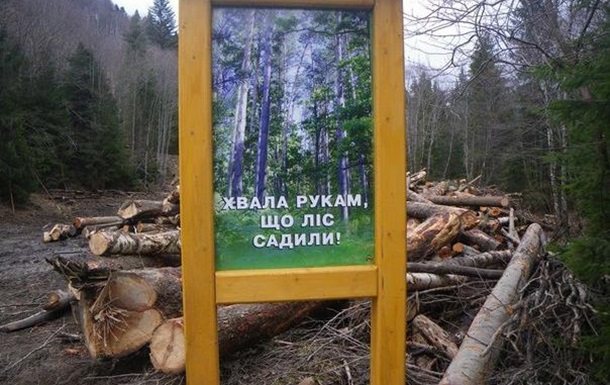 В Україні можуть почати вирубати ліси
