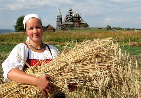 Аграрный сектор Украины за 25 лет ИНФОГРАФИКА