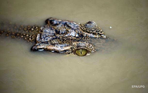 В Індонезії крокодил загриз російського туриста