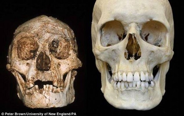 Індонезійські  гобіти  виявилися старшими на десятки тисяч років