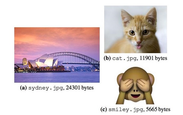 В ДНК сохранили фотографию кошки
