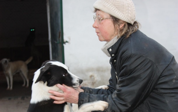 Безпритульних собак в Ірпені вакцинують, стерилізують і шукають для них домівки